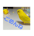 ぼく、ばなな！（個別スタンプ：11）