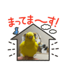 ぼく、ばなな！（個別スタンプ：12）