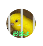 ぼく、ばなな！（個別スタンプ：13）