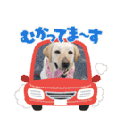 ハニーちゃんの日常スタンプ★らぶはにー（個別スタンプ：24）
