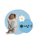 ふうもも1（個別スタンプ：15）