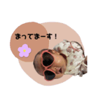ふうもも1（個別スタンプ：16）