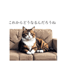 毎日使える猫スタンプ 一部敬語（個別スタンプ：36）