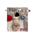 望来のみらい②（個別スタンプ：15）