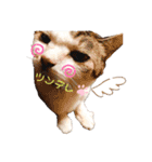 我が家のたからもの♡（個別スタンプ：5）