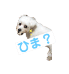 我が家のたからもの♡（個別スタンプ：13）