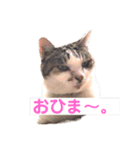 我が家のたからもの♡（個別スタンプ：15）