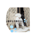 我が家のたからもの♡（個別スタンプ：18）