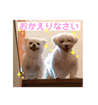 我が家のたからもの♡（個別スタンプ：21）