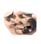 我が家のたからもの♡（個別スタンプ：23）