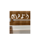 こむぎのコムギ（個別スタンプ：1）