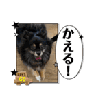 ウニとホタテ①（個別スタンプ：6）