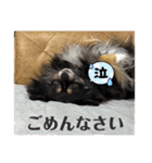 ウニとホタテ①（個別スタンプ：10）
