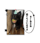 ウニとホタテ①（個別スタンプ：16）
