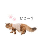 めんまスタンプ(アセリアちゃん)（個別スタンプ：12）