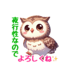 フクロウだよん（個別スタンプ：36）