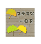 【大きな文字】気持ちを伝える＊夏から秋へ（個別スタンプ：24）