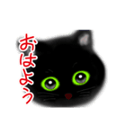 【動く】大きな黒猫ちゃん（個別スタンプ：1）