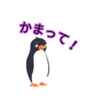 可愛いペンギンスタンプ色々（個別スタンプ：22）