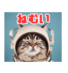 宇宙飛行士のねこ（個別スタンプ：5）