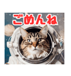 宇宙飛行士のねこ（個別スタンプ：15）