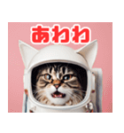 宇宙飛行士のねこ（個別スタンプ：18）