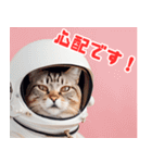 宇宙飛行士のねこ（個別スタンプ：30）