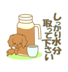 わんこ日和(茶ダックスフント)①-toYvu-（個別スタンプ：21）