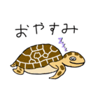 海の生き物たちshun（個別スタンプ：7）