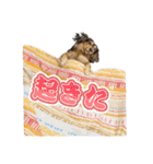 れもんはオシャレじゃないwithワンズ（個別スタンプ：10）