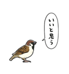 しゃべるスズメ（個別スタンプ：14）