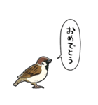 しゃべるスズメ（個別スタンプ：15）