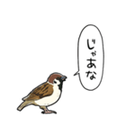 しゃべるスズメ（個別スタンプ：32）