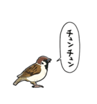 しゃべるスズメ（個別スタンプ：38）