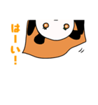 トマぱんちゃん➕わたしましま印（個別スタンプ：8）