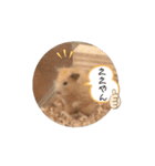 動くぷん（個別スタンプ：1）