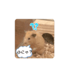 動くぷん（個別スタンプ：2）