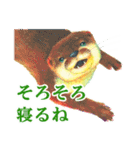 水彩絵本な動物スタンプ(タメ口）（個別スタンプ：37）