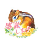 水彩絵本な動物スタンプ（丁寧語）（個別スタンプ：1）