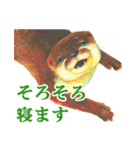 水彩絵本な動物スタンプ（丁寧語）（個別スタンプ：37）