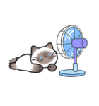 炎炎夏の小王子猫！（個別スタンプ：12）