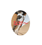 猫のスタンプ(関西弁)（個別スタンプ：8）