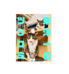 猫のスタンプ(関西弁)（個別スタンプ：29）