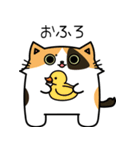 ゆるゆる猫様（個別スタンプ：11）