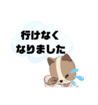 返事⑬犬好き♡出席欠席.参加不参加.考え中（個別スタンプ：26）