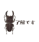 ゆるっと昆虫～カブトムシ＆クワガタムシ（個別スタンプ：2）