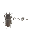 ゆるっと昆虫～カブトムシ＆クワガタムシ（個別スタンプ：6）