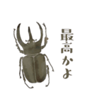 ゆるっと昆虫～カブトムシ＆クワガタムシ（個別スタンプ：13）