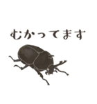 ゆるっと昆虫～カブトムシ＆クワガタムシ（個別スタンプ：19）