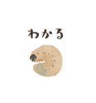 ゆるっと昆虫～カブトムシ＆クワガタムシ（個別スタンプ：30）